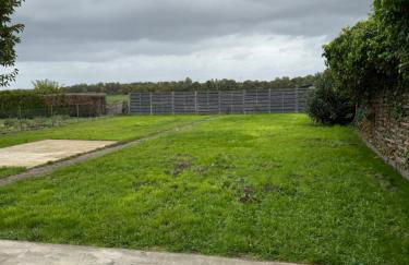 Comfy House Erftstadt - Foto 29