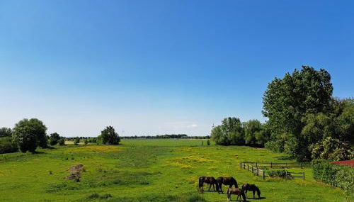 FeWo Vißer‘s Landblick - Foto 2
