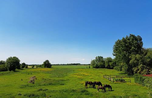 FeWo Vißer‘s Landblick - Foto 2