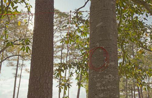 Secluded Waterfront Retreat for 23 - Dock Pets OK - Photo 124