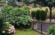 Casa Anita - Foto 16