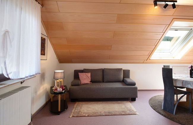 Apartment in Sallneck Near Nonnenmattweiher Lake - Foto 8