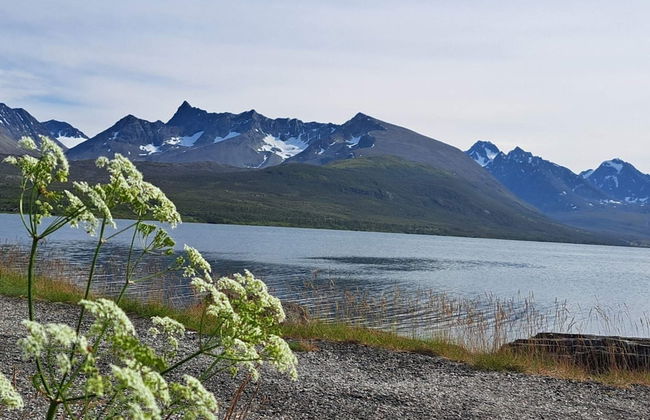 6 Person Holiday Home in Svensby-by Traum - Foto 33