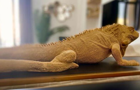 Le somptueux Le Gallia - Foto 2