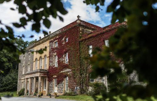 Plas Nanteos Mansion - Foto 1