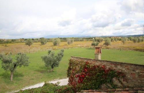 Podere Campo alle Serpi - Foto 51