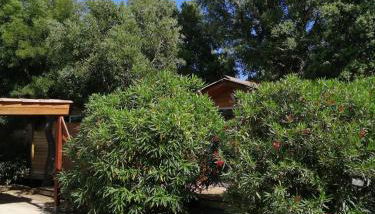 Les chalets de Palavesa - Foto 5