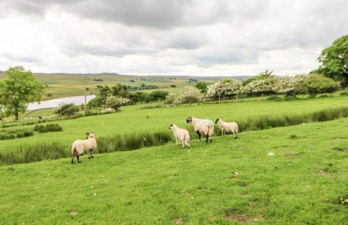 Hury Lodge - Photo 24