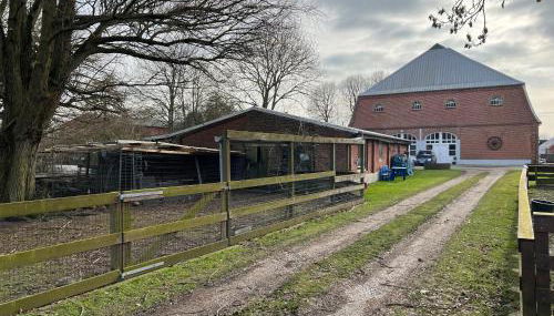 Landlord Ferienwohnung Sonne - Foto 3, Garden