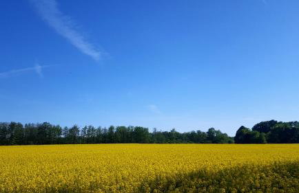 Ferienwohnung Finja in Putgarten, Kap Arkona Rügen - Foto 29