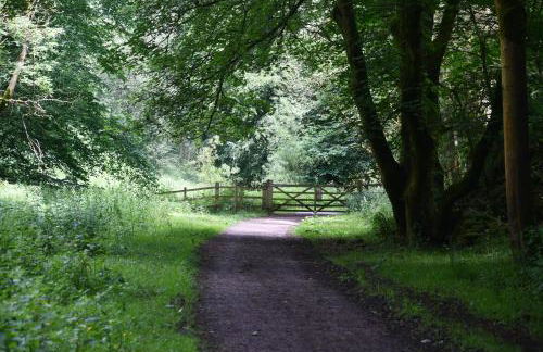 Rock Mill Studio Apartment 16 - Photo 68