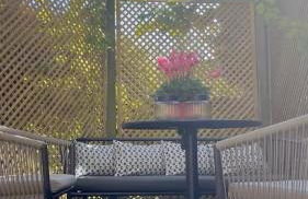 Ferienwohnung Schönwälder mit kleiner Terrasse und WALL BOX - Photo 19