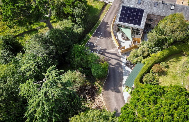 Woodpeckers in Marldon - Foto 16