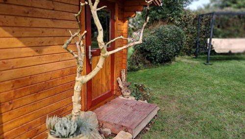 Alt Monjoie - Foto 2, Garden