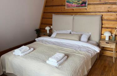 BUKOWA Jezioro Żywieckie Beskid Żywiecki Śląski Sauna Jacuzzi Kominek Morsowanie Tresna Żywiec Szczyrk - Foto 25