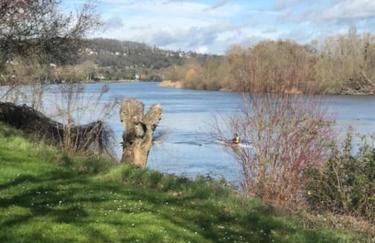 Les Bambous - Foto 16