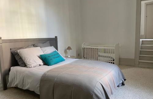 Hôtel particulier Champenois - Foto 18