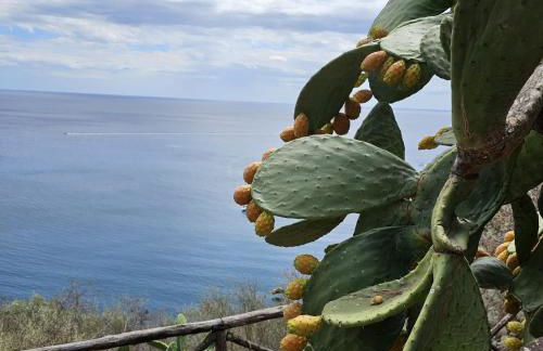 Casa Copanello - Photo 32