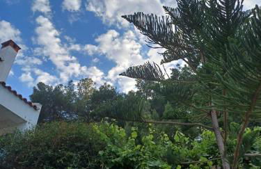 Anatoli apartment - Photo 14