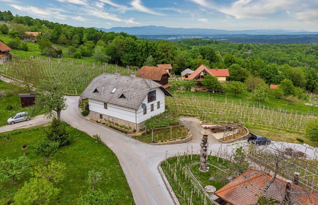 Vineyard Homestead Vrtin - Foto 14