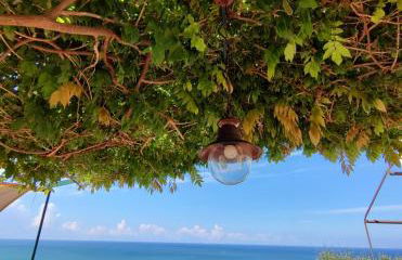 Casa Vacanze Vista Mare ad Acciaroli località Mezzatorre - Foto 28