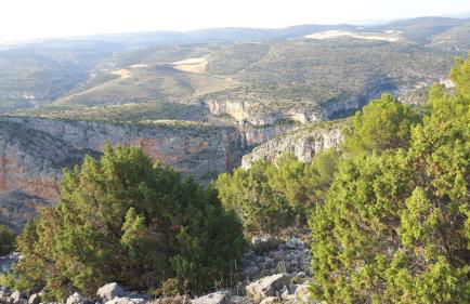 Villa San Jorge - Photo 31