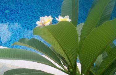 “Theeporto” Maisonette with pool - Photo 28