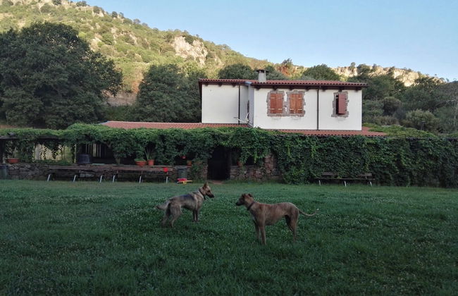 Sas Abbilas - Foto 17