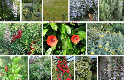 Locanda Rosati - Foto 55