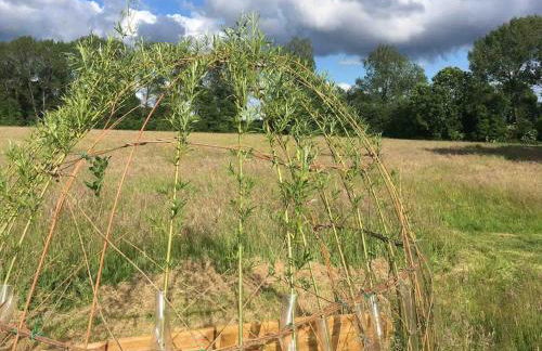 Moors Wood Relaxing ,Tranquil retreat with Hot Tub - Foto 22