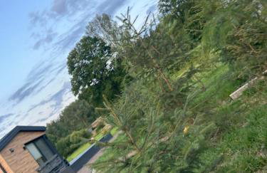 Leśny Park Polanica - Foto 35