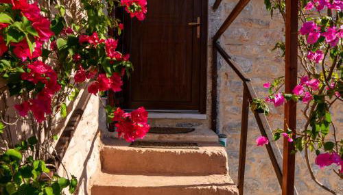 Pandera areopoli - Foto 2