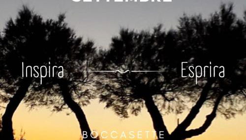 Appartamento Lavanda - Casa vacanza nel Delta del Po - Foto 2