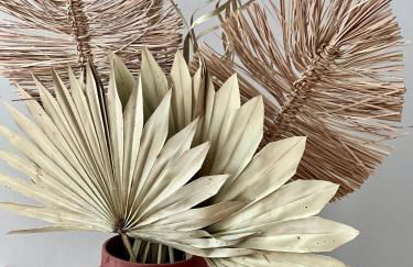 La Maison en bord de Vilaine, Centre de Rennes - Foto 15