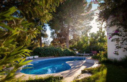 Finca palmers - Photo 23