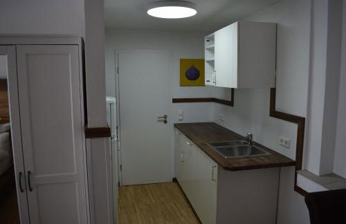 Apartments mit Klimaanlage am Neckarufer, Schöne Aussicht - Foto 18