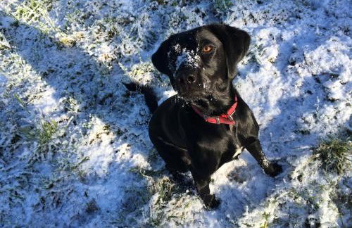 Delightful Cotswold Cottage for two, Log Burner, Garden & Dog Friendly - Photo 30