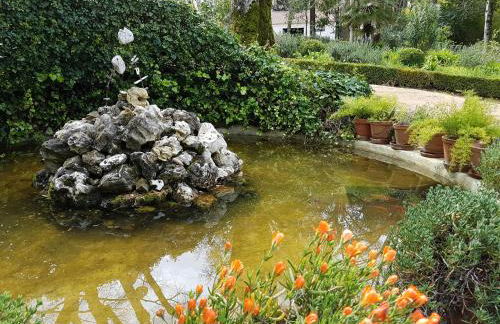 Quinta da Bizelga Cottages - Foto 33