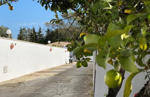 Vivienda Rural Atlántico Sur & Familias - Foto 7