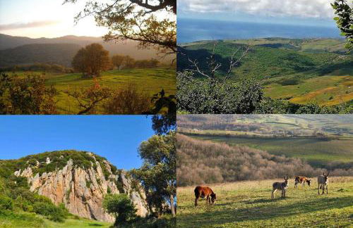 Le casette di Frà al Bondì - Foto 71