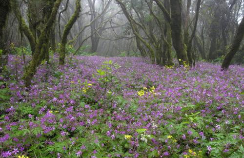 Casa las Dunas - Foto 51