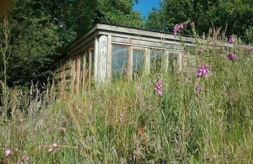 FoxesDen, Unique Eco Cabin, Dartmoor views - Foto 1