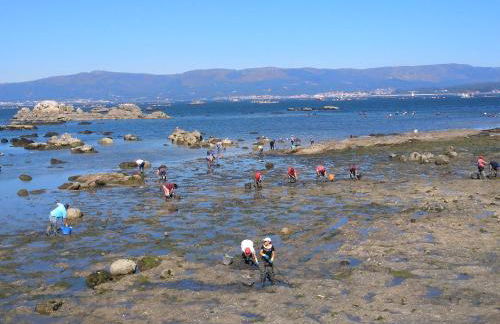 Apartamentos Poniente CON y SIN TERRAZA - Foto 27