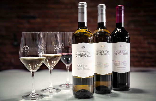 Visita a la bodega Cuatro Rayas - Foto 6