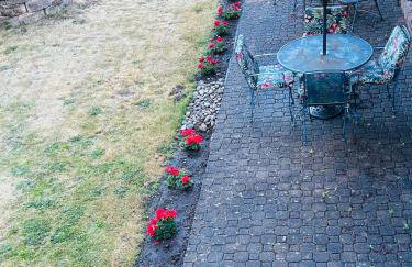 Emerald City Studio Suite - Photo 37