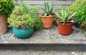 The Nod, Lamorna, Cornwall - luxurious retreat - Photo 16