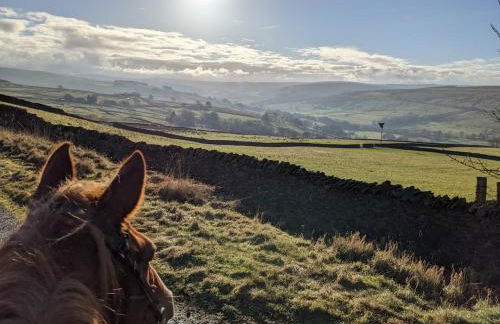 The Bothy at High Frost Hall - Foto 8