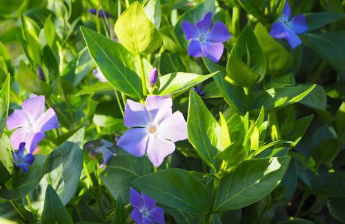 Le Fournil - Les Gites Du Moulin - Foto 13