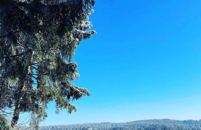 Ferienwohnung Schwarzalb - Foto 6