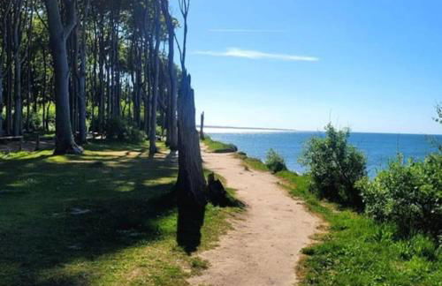 Jan`s FeWo - Foto 21